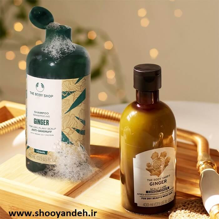 good-choosing-the-right-shampoo